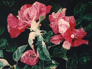 Bougainvillea Circle Dance 1997