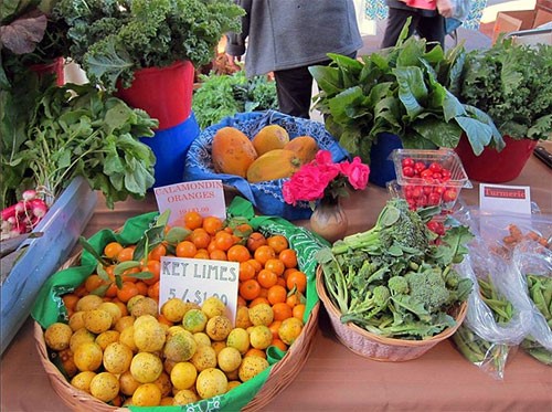 Photo of key limes, oranges, and many other vegetables