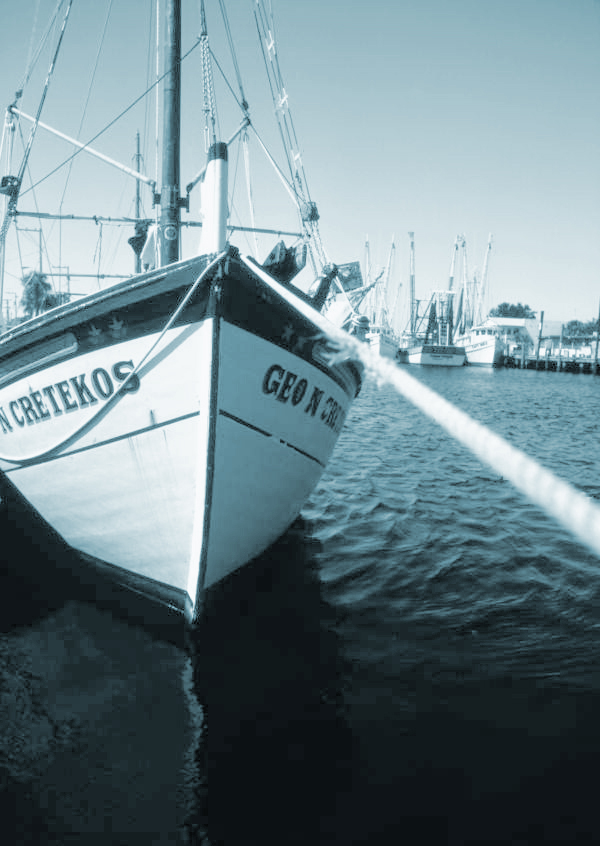 The Ripples In The Water