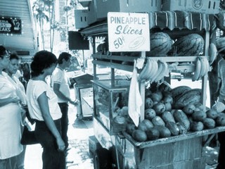 Folklife Collection on Florida Memory
