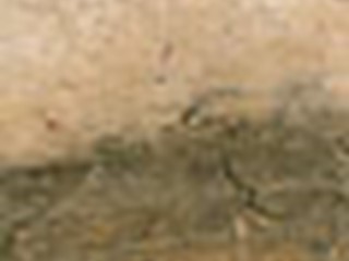 State Soil